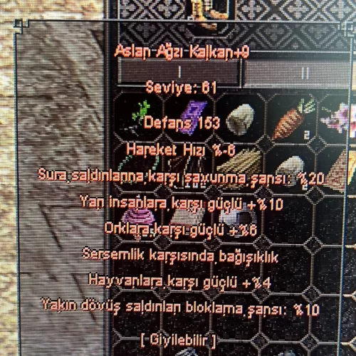 aslan ağzı beyaz altın bilezik +9